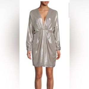 NWT Rag and Bone Eloise Silver Dress